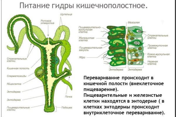 Зеркало омг омг рабочее